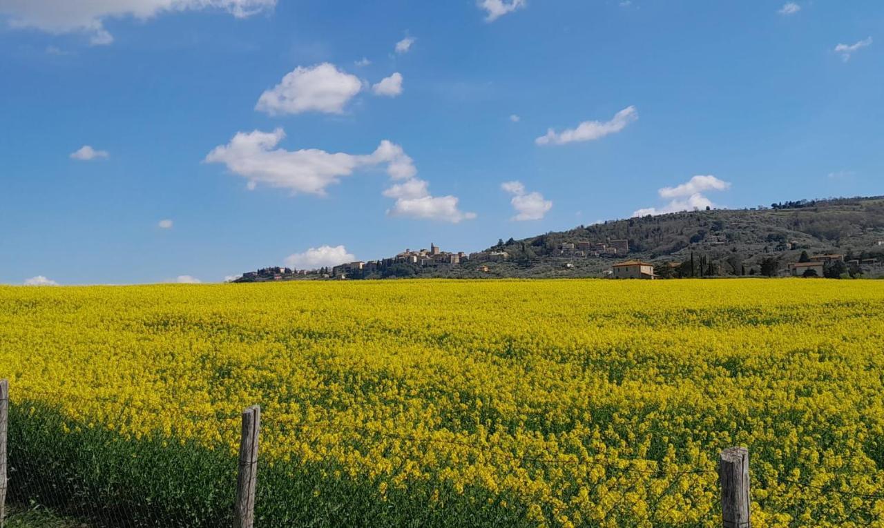Podere Molinaccio Panicale Extérieur photo