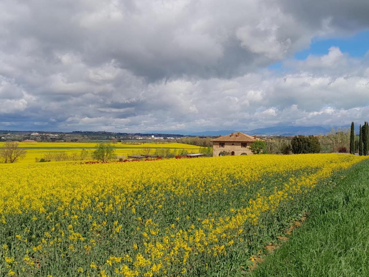 Podere Molinaccio Panicale Extérieur photo