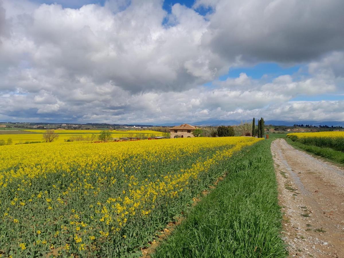 Podere Molinaccio Panicale Extérieur photo