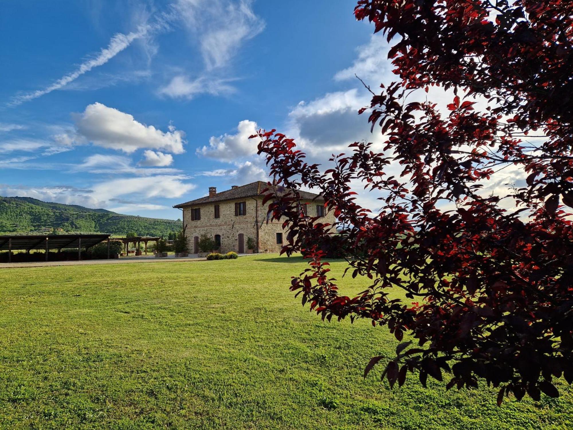 Podere Molinaccio Panicale Extérieur photo