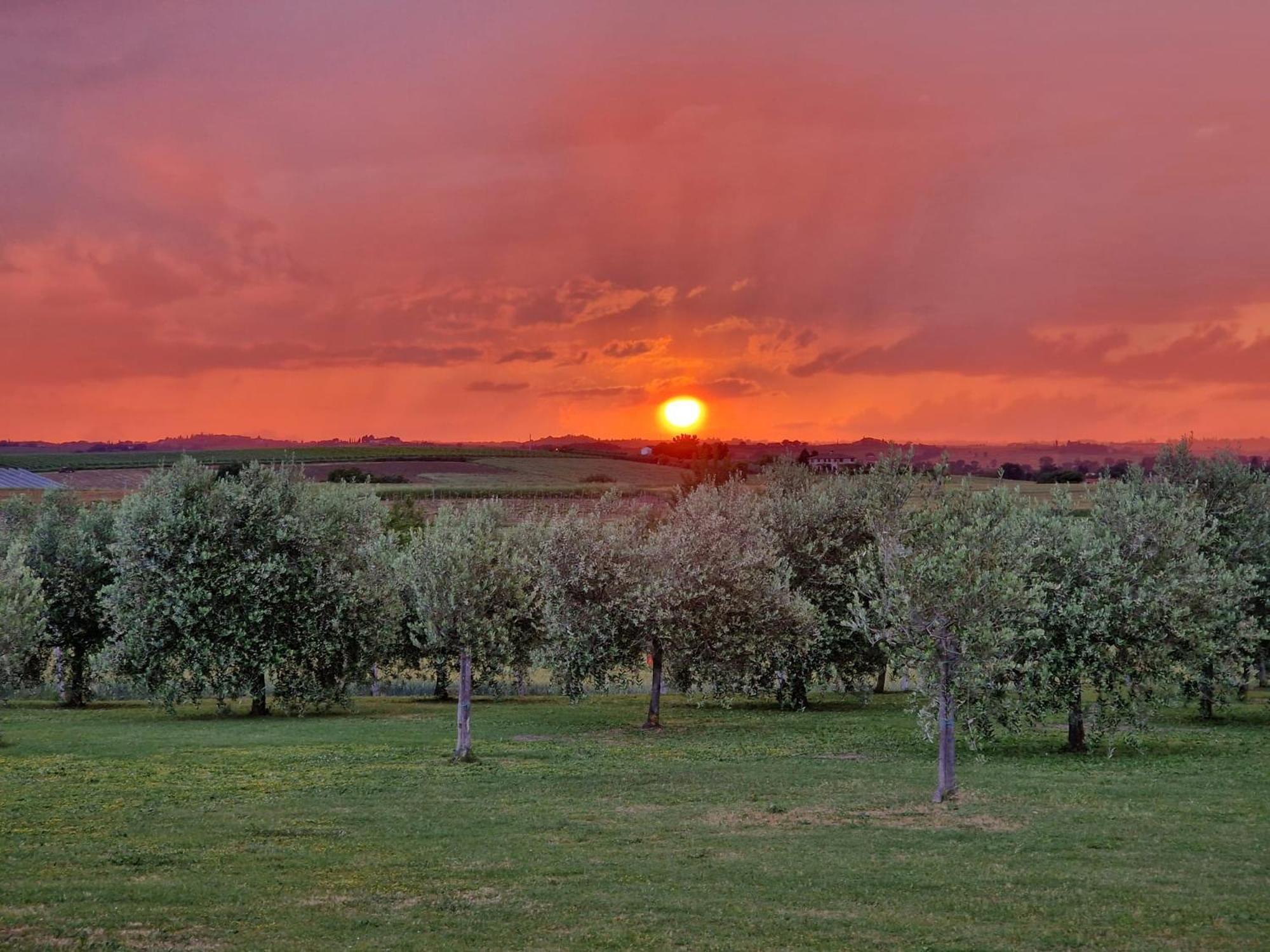 Podere Molinaccio Panicale Extérieur photo