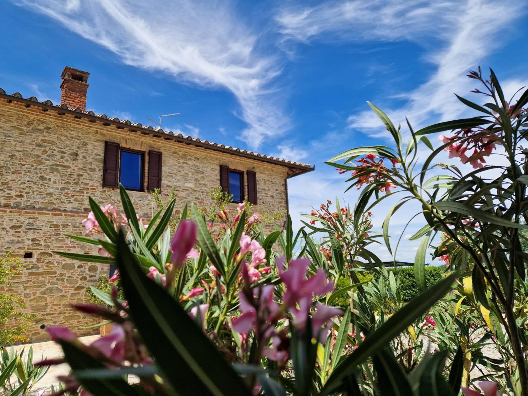Podere Molinaccio Panicale Extérieur photo